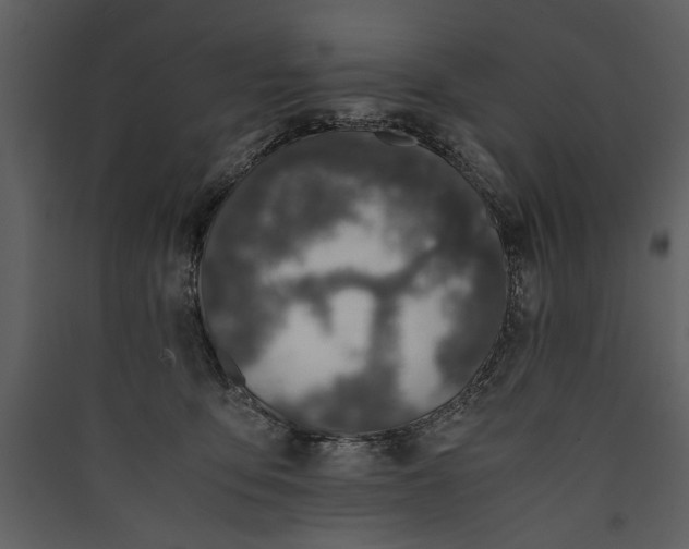 X0000089920419200707131415