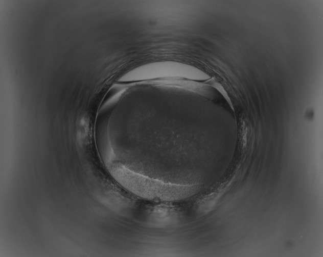 X0000089920420200707131415