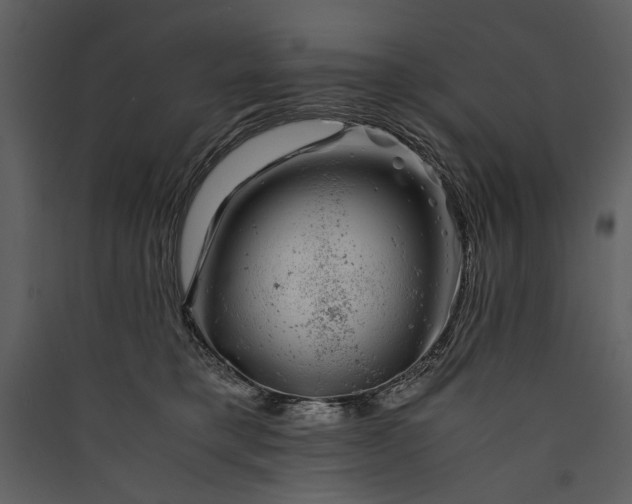 X0000089920421200707131415
