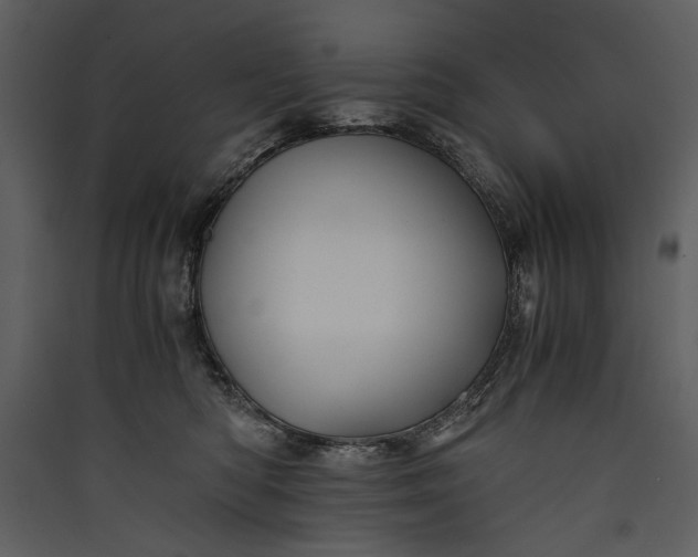 X0000089920422200707131415