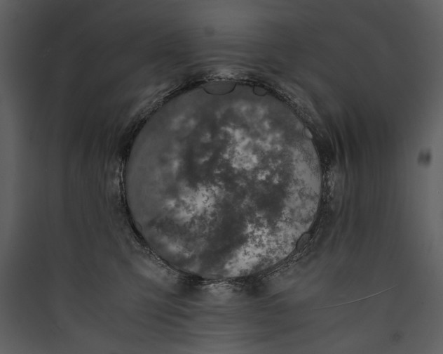 X0000089920423200707131415