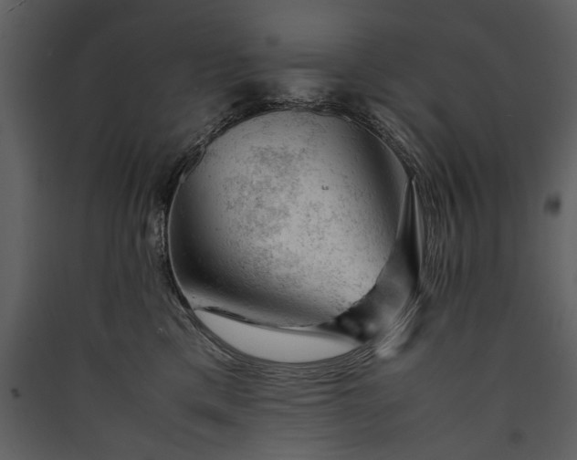 X0000089920425200707131415