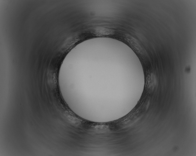 X0000089920426200707131415
