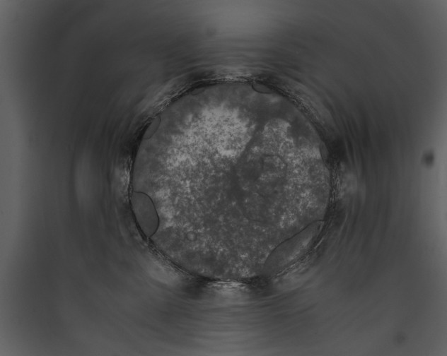 X0000089920427200707131415