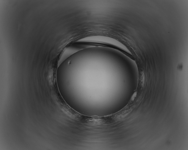X0000089920428200707131414