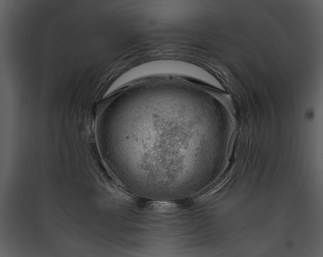 X0000089920429200707131414