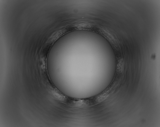 X0000089920430200707131414