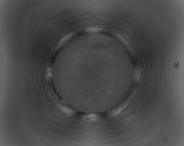 X0000089920431200707131414
