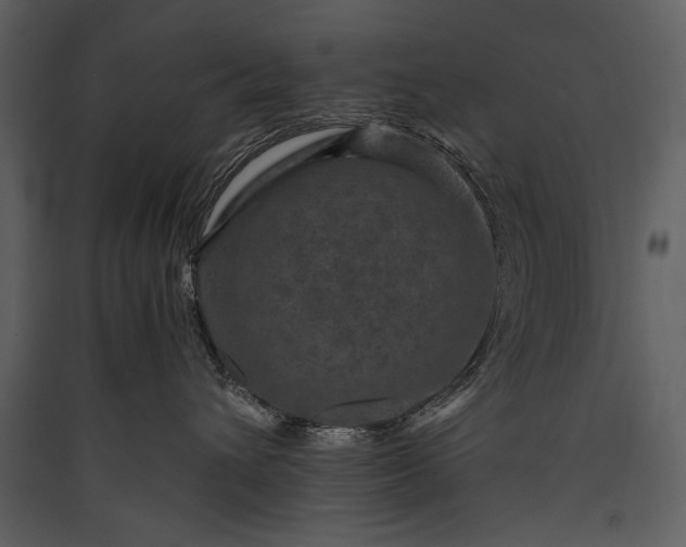 X0000089920432200707131414