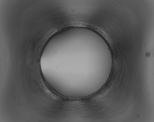 X0000089920433200707131414