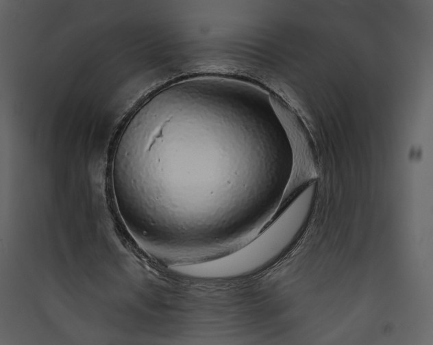X0000089920434200707131414