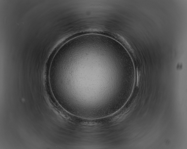 X0000089920435200707131414