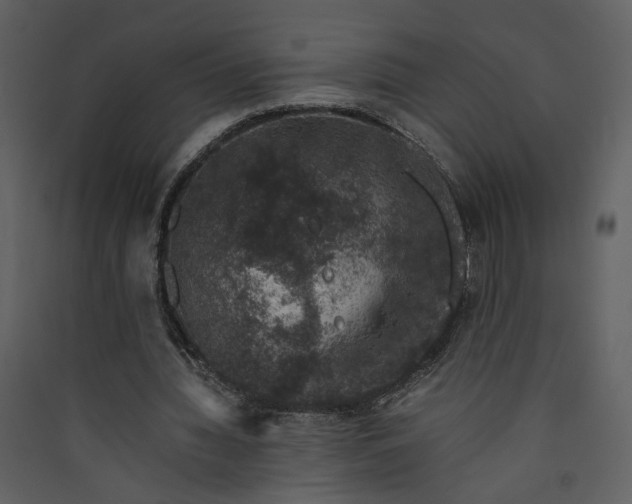 X0000089920436200707131414