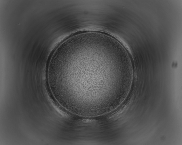 X0000089920437200707131414