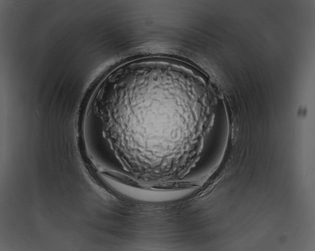 X0000089920438200707131414