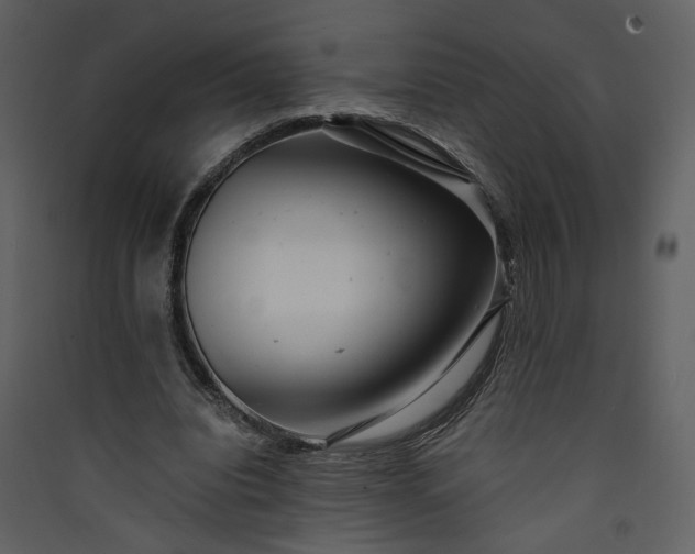 X0000089920440200707131414