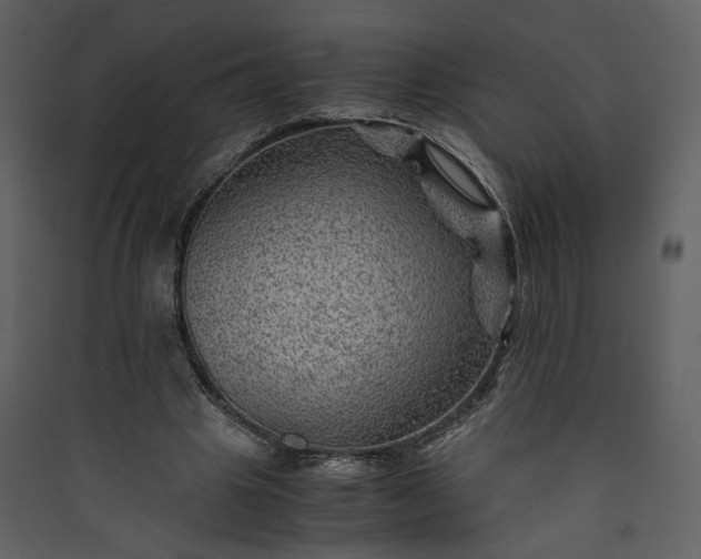 X0000089920441200707131414