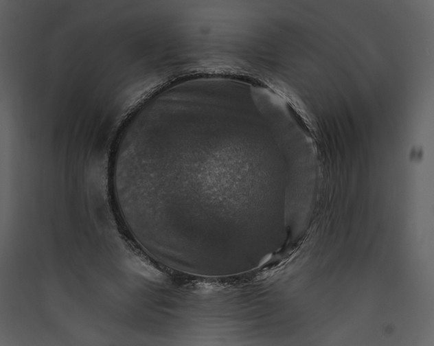 X0000089920442200707131414