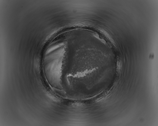 X0000089920444200707131414