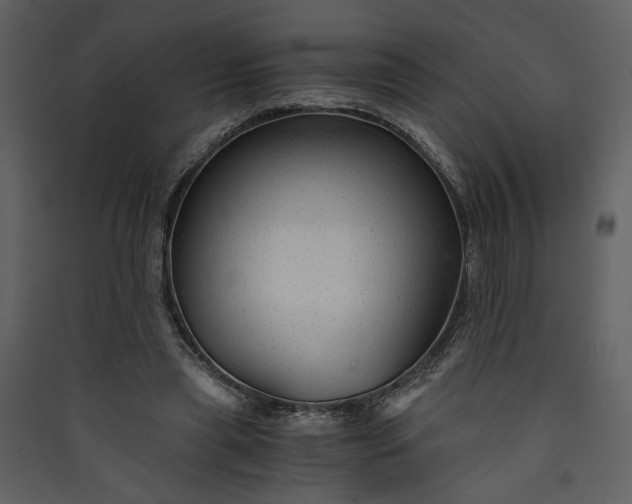 X0000089920445200707131414