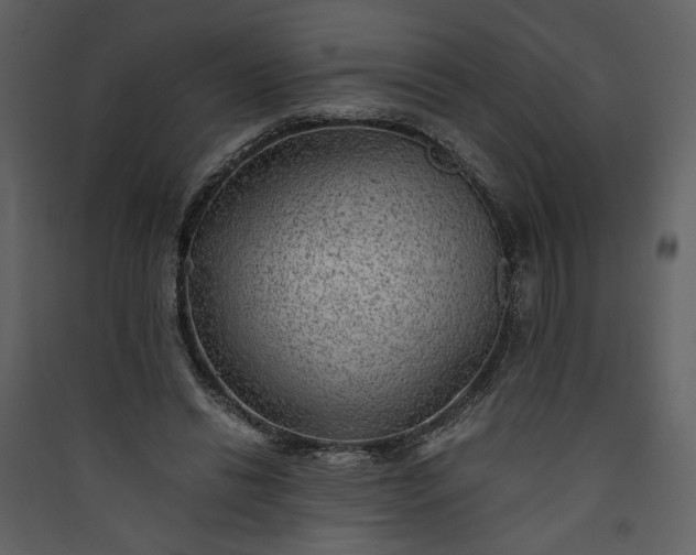 X0000089920446200707131414