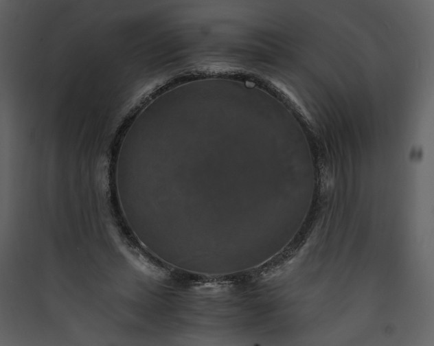 X0000089920447200707131414