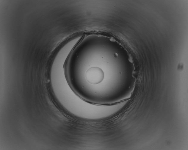 X0000089920448200707131414