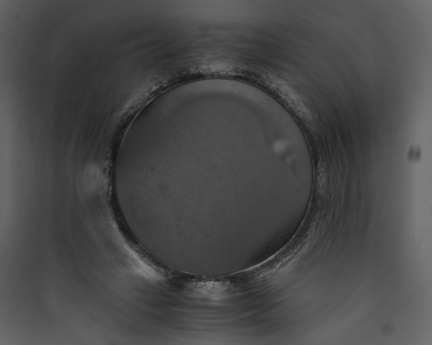X0000089920449200707131414