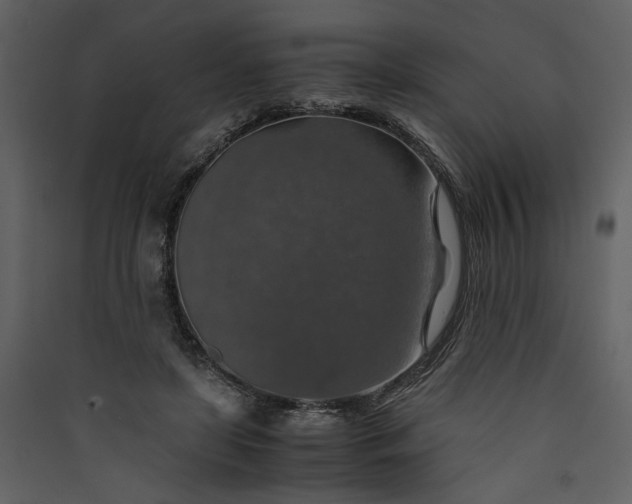 X0000089920451200707131414