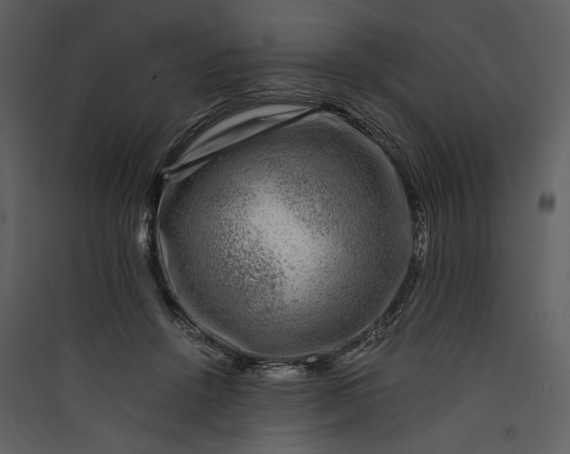 X0000089920456200707131414
