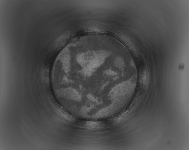 X0000089920457200707131414