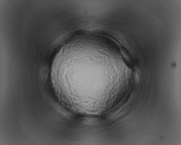 X0000089920458200707131414