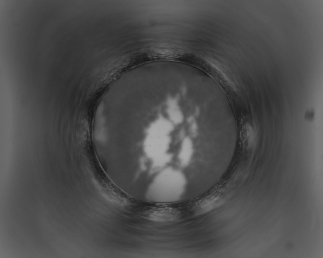 X0000089920459200707131414