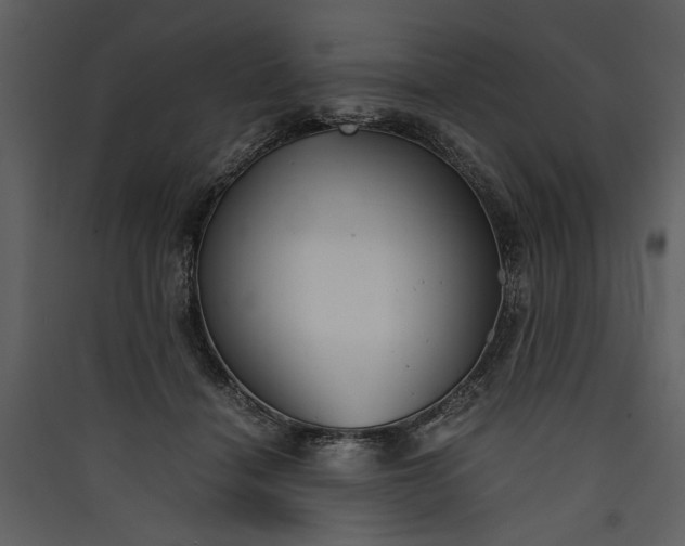 X0000089920460200707131414