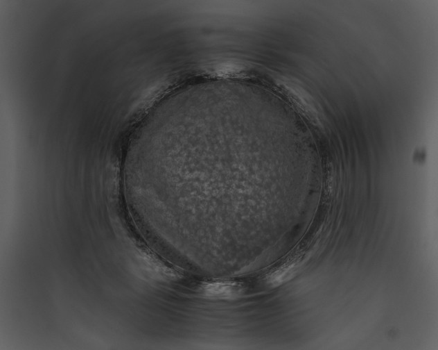 X0000089920461200707131414