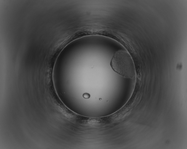 X0000089920462200707131414