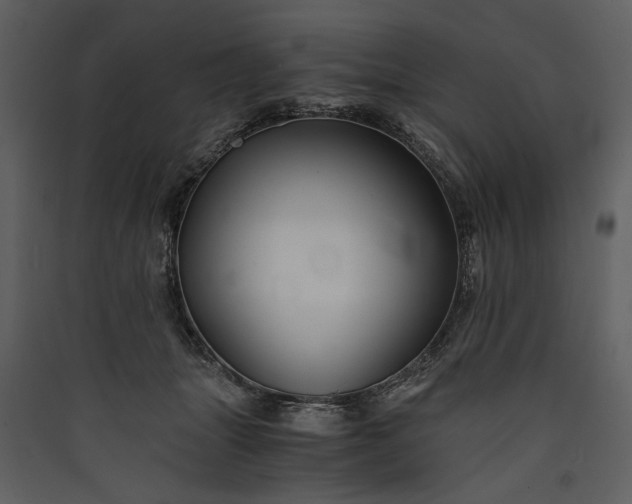 X0000089920463200707131414