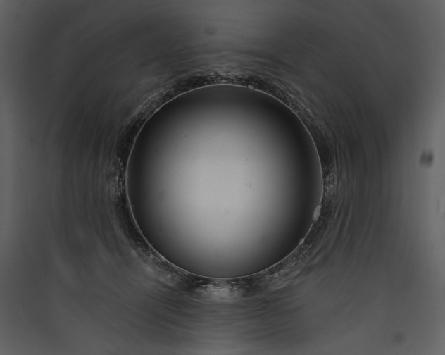 X0000089920464200707131414