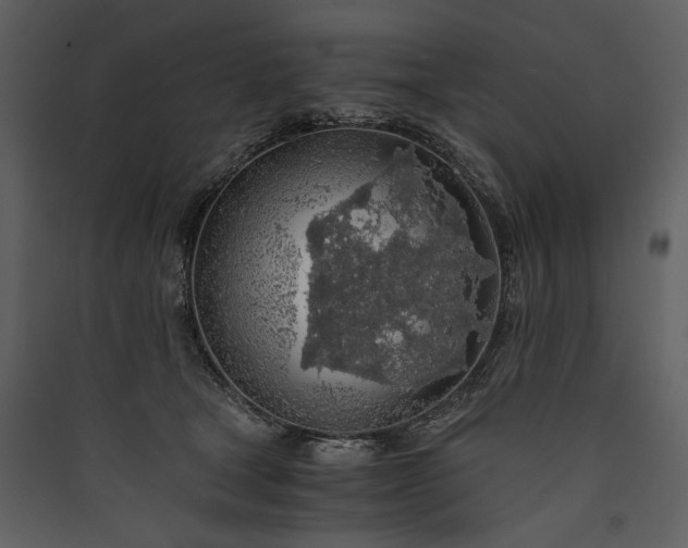 X0000089920465200707131414