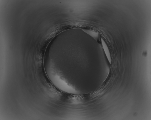 X0000089920466200707131414