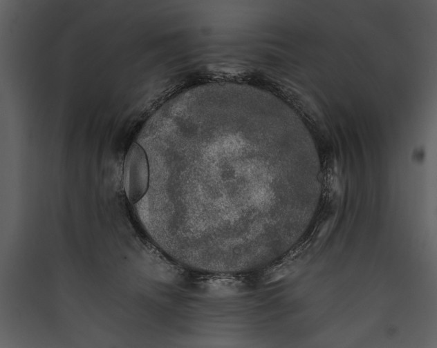 X0000089920468200707131414