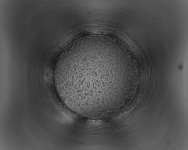 X0000089920469200707131414