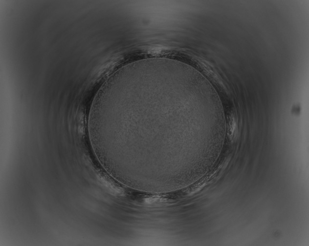 X0000089920470200707131414