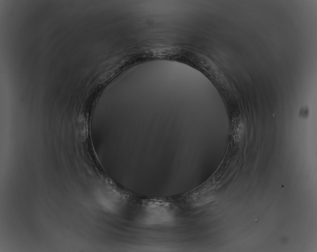 X0000089920471200707131414