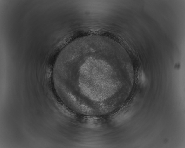 X0000089920472200707131414