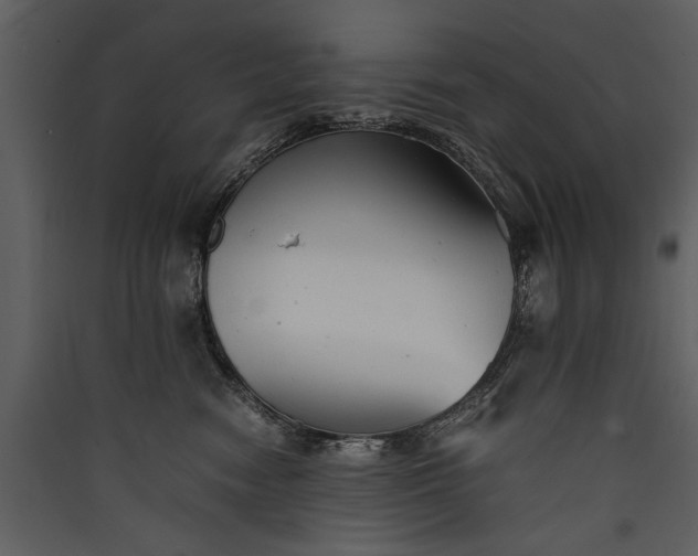 X0000089920474200707131414