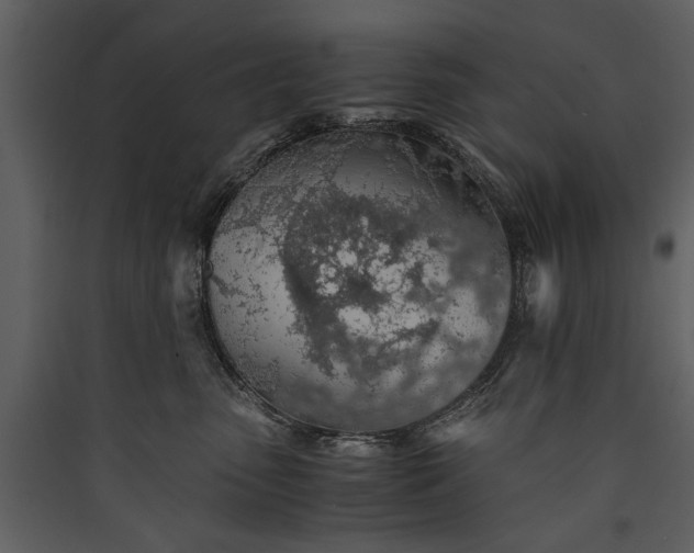X0000089920475200707131414