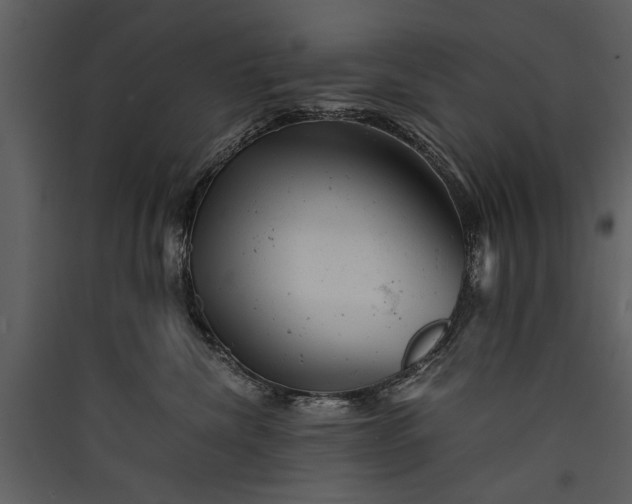 X0000089920476200707131414