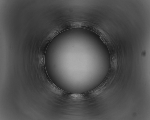 X0000089920477200707131414