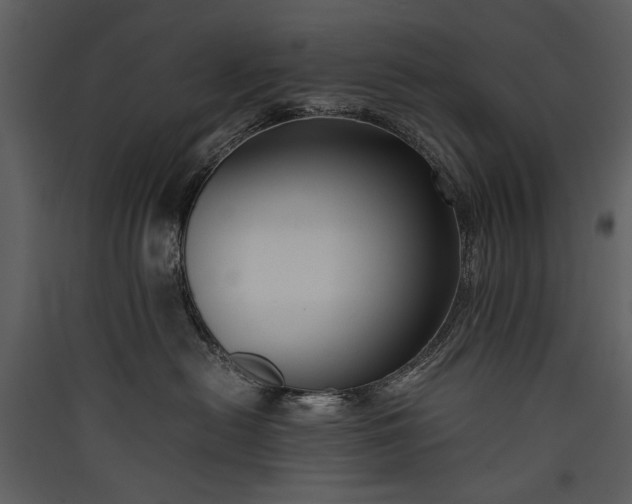X0000089920478200707131414